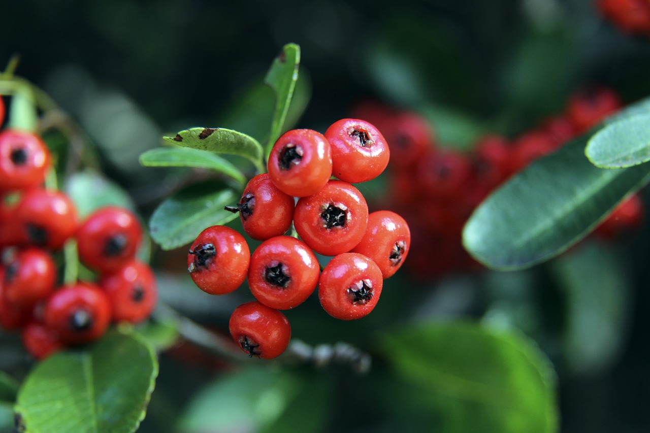 第52分鐘 第52分鐘