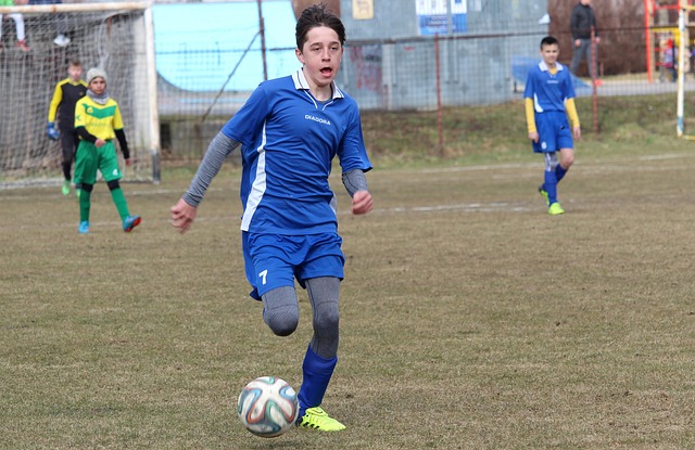 年巴西世界 年巴西世界