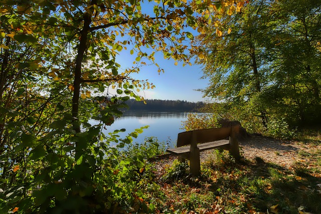 黄友政在1 黄友政在1
